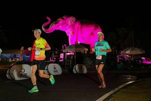 BIB: 
                            <button type="button" onclick="openModal(26535362)" class="btn btn-primary btn-sm float-right btn-popup" data-toggle="modal" data-target=".modal-high-quality">
                        <i class="fas fa-shopping-cart"></i> Add to Cart
                    </button>
                                            <button type="button" onclick="isThisMe(26535362, true)" class="btn btn-success btn-sm float-right btn-popup btn-isme hidden" data-toggle="tooltip" data-placement="bottom" title="นี่คือรูปของคุณใช่ไหม คลิกที่นี่เพื่อเอาเข้าอัลบั้ม">
                        <i class="fas fa-plus"></i> Add to album
                    </button>
                    <button type="button" onclick="isThisMe(26535362, false)" class="btn btn-warning btn-sm float-right btn-popup btn-isnotme hidden">
                        <i class="fas fa-ban"></i> Remove from album
                    </button>